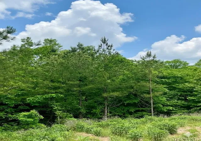 3rd image of 656 Timber Creek Trails South Xl, Broken Bow, OK 74728 | MLS# 1096870