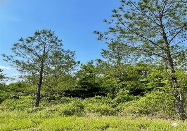 Photo 1 of Land for sale at 661 Timber Creek Trails South Xl, Broken Bow, OK 74728 | MLS# 1096880 | Listing updated on 2026-07-27