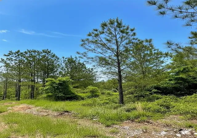 Photo 2 of Land for sale at 661 Timber Creek Trails South Xl, Broken Bow, OK 74728 | MLS# 1096880 | Listing updated on 2026-07-27