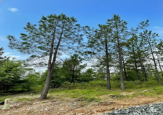 Photo 3 of Land for sale at 661 Timber Creek Trails South Xl, Broken Bow, OK 74728 | MLS# 1096880 | Listing updated on 2026-07-27