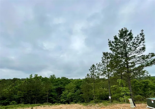 1st image of 673 Timber Creek Trails South Xl, Broken Bow, OK 74728 | MLS# 1096919