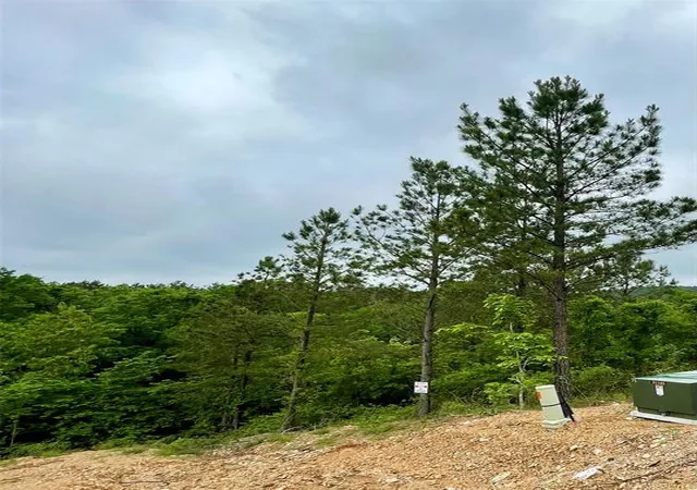 2nd image of 673 Timber Creek Trails South Xl, Broken Bow, OK 74728 | MLS# 1096919