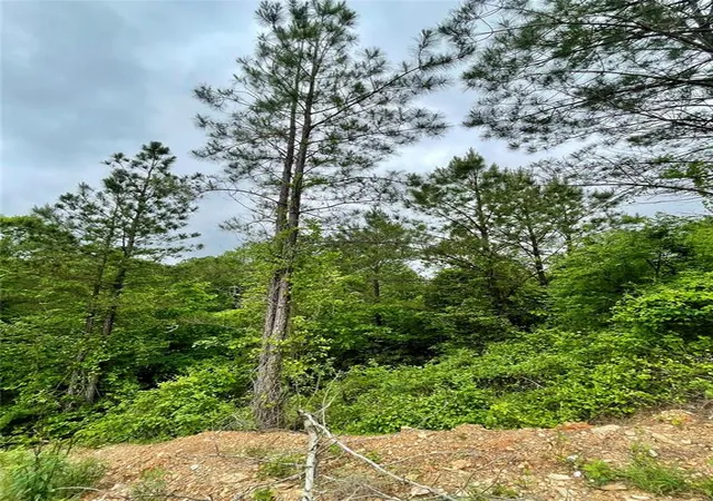 3rd image of 673 Timber Creek Trails South Xl, Broken Bow, OK 74728 | MLS# 1096919