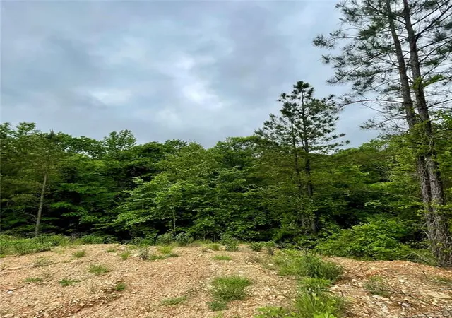 4th image of 673 Timber Creek Trails South Xl, Broken Bow, OK 74728 | MLS# 1096919
