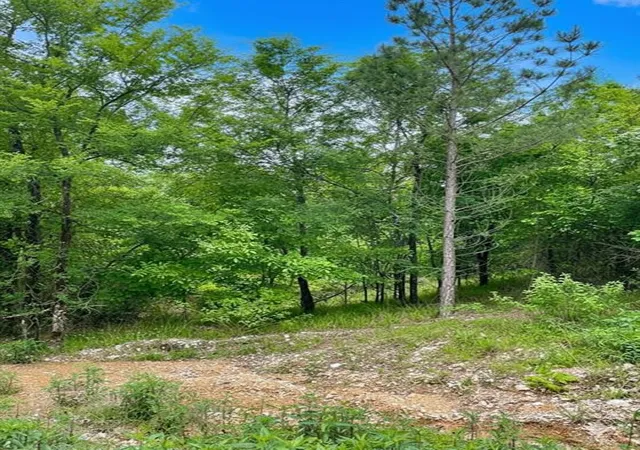 Photo 3 of Land for sale at 662 Timber Creek Trails South Xl, Broken Bow, OK 74728 | MLS# 1096925 | Listing updated on 2026-07-27