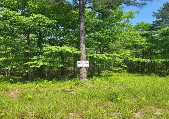 Photo 3 of Land for sale at 662 Timber Creek Trails South Xl, Broken Bow, OK 74728 | MLS# 1096925 | Listing updated on 2026-07-27
