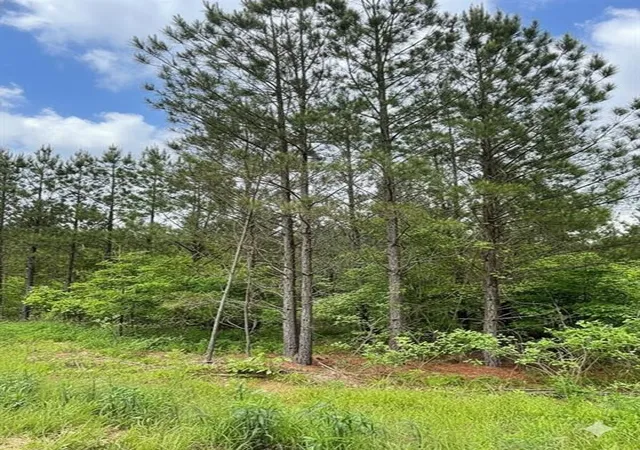 Photo 1 of Land for sale at 663 Timber Creek Trails South Xl, Broken Bow, OK 74728 | MLS# 1096932 | Listing updated on 2026-07-27