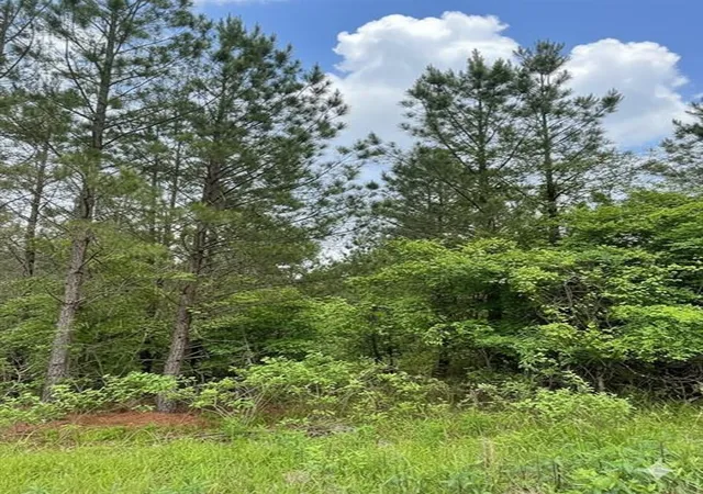 Photo 2 of Land for sale at 663 Timber Creek Trails South Xl, Broken Bow, OK 74728 | MLS# 1096932 | Listing updated on 2026-07-27