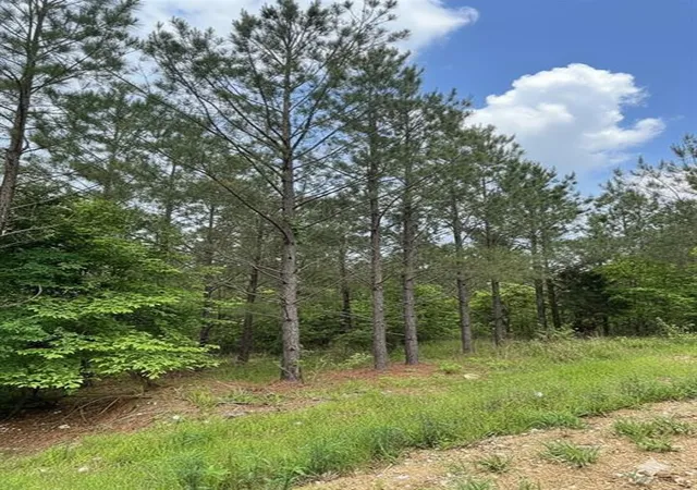 Photo 3 of Land for sale at 663 Timber Creek Trails South Xl, Broken Bow, OK 74728 | MLS# 1096932 | Listing updated on 2026-07-27