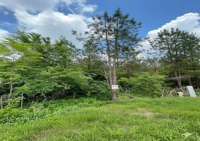 3rd image of 664 Timber Creek Trails South Xl, Broken Bow, OK 74728 | MLS# 1096934