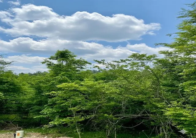 4th image of 664 Timber Creek Trails South Xl, Broken Bow, OK 74728 | MLS# 1096934