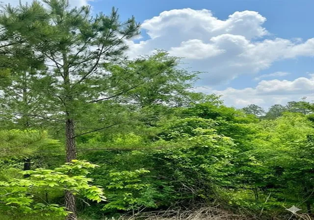 Photo 2 of Land for sale at 665 Timber Creek Trails South Xl, Broken Bow, OK 74728 | MLS# 1096936 | Listing updated on 2026-07-27