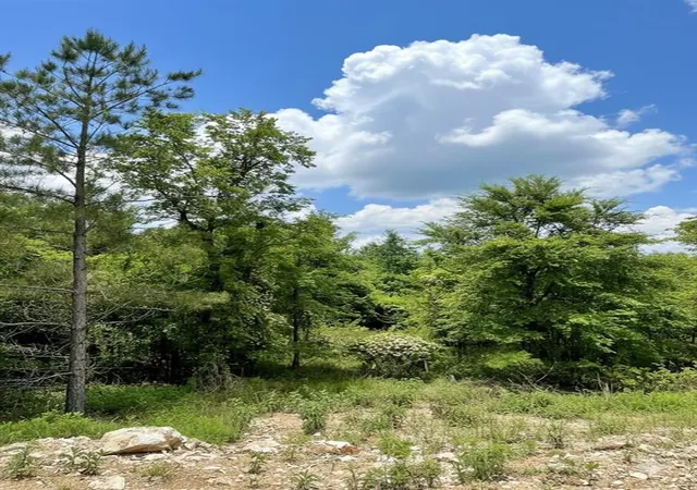 Photo 1 of Land for sale at 667 Timber Creek Trails South Xl, Broken Bow, OK 74728 | MLS# 1096938 | Listing updated on 2026-07-27