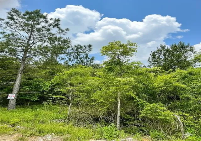 Photo 2 of Land for sale at 667 Timber Creek Trails South Xl, Broken Bow, OK 74728 | MLS# 1096938 | Listing updated on 2026-07-27