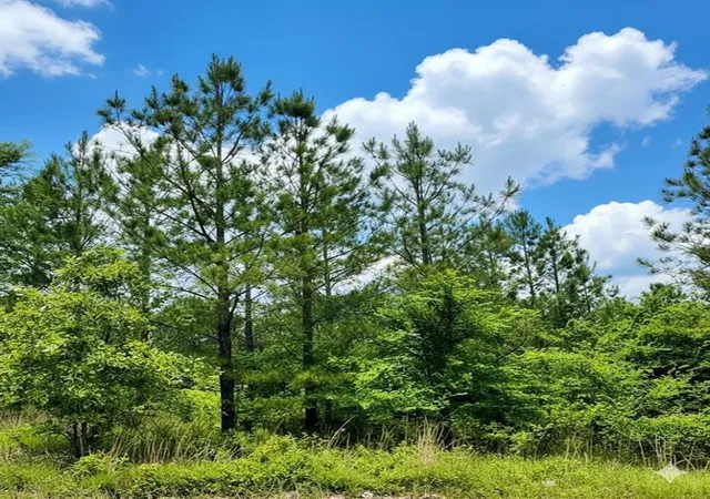 1st image of 669 Timber Creek Trails South Xl, Broken Bow, OK 74728 | MLS# 1096940