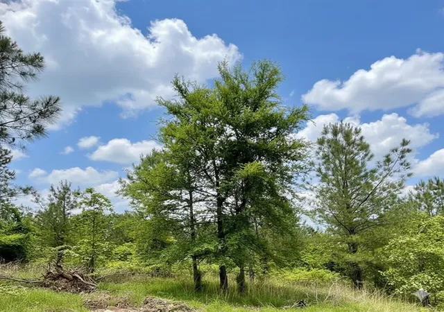 2nd image of 669 Timber Creek Trails South Xl, Broken Bow, OK 74728 | MLS# 1096940