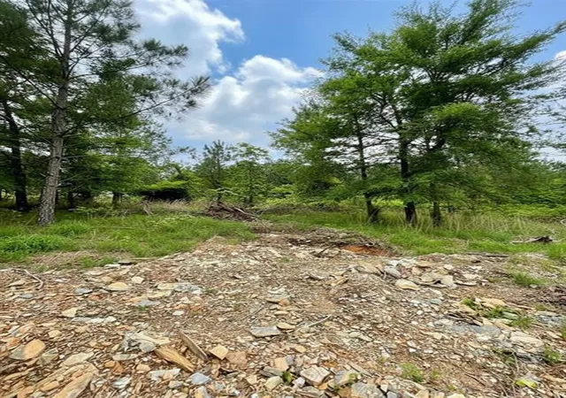 3rd image of 669 Timber Creek Trails South Xl, Broken Bow, OK 74728 | MLS# 1096940