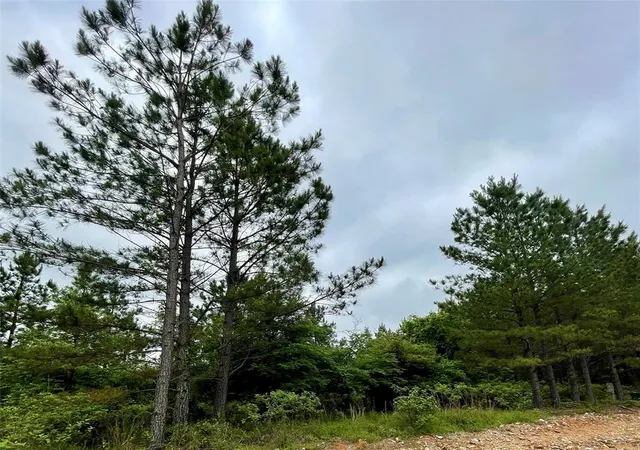 Photo 1 of Land for sale at 672 Timber Creek Trails South Xl, Broken Bow, OK 74728 | MLS# 1096941 | Listing updated on 2026-07-27