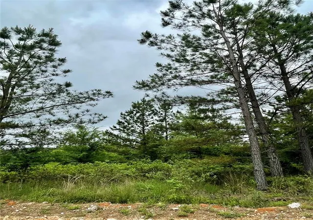 Photo 2 of Land for sale at 672 Timber Creek Trails South Xl, Broken Bow, OK 74728 | MLS# 1096941 | Listing updated on 2026-07-27