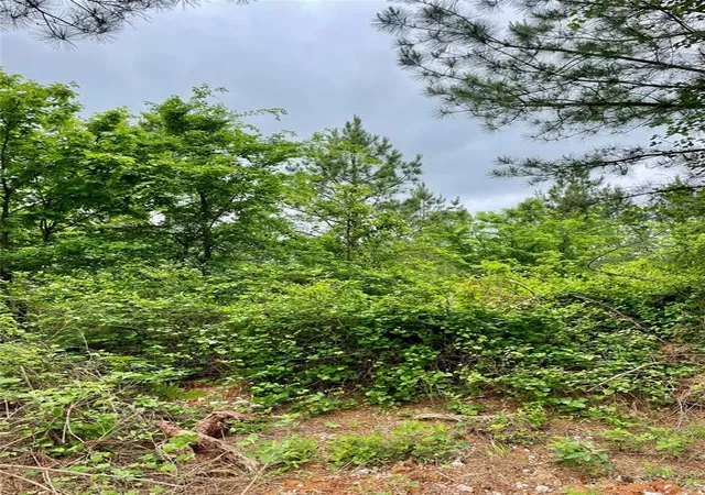 Photo 3 of Land for sale at 672 Timber Creek Trails South Xl, Broken Bow, OK 74728 | MLS# 1096941 | Listing updated on 2026-07-27
