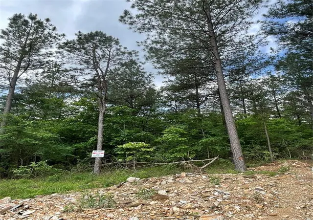 2nd image of 674 Timber Creek Trials South Xl, Idabel, OK 74745 | MLS# 1096943