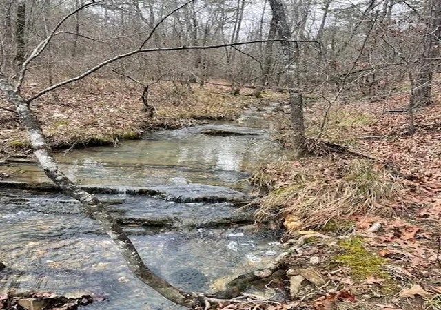 3rd image of 674 Timber Creek Trials South Xl, Idabel, OK 74745 | MLS# 1096943