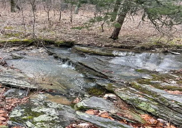 4th image of 674 Timber Creek Trials South Xl, Idabel, OK 74745 | MLS# 1096943