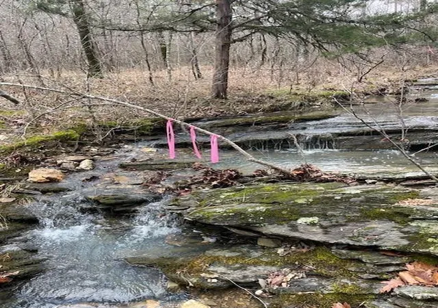 5th image of 674 Timber Creek Trials South Xl, Idabel, OK 74745 | MLS# 1096943