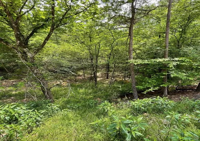 Photo 1 of Land for sale at 675 Timber Creek Trails South Xl, Broken Bow, OK 74728 | MLS# 1096944 | Listing updated on 2026-07-27