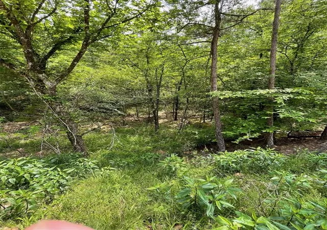 Photo 3 of Land for sale at 675 Timber Creek Trails South Xl, Broken Bow, OK 74728 | MLS# 1096944 | Listing updated on 2026-07-27