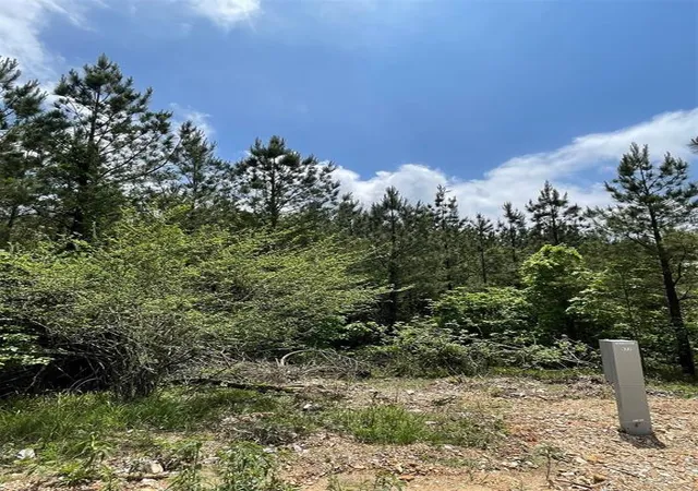 Photo 2 of Land for sale at 677 Timber Creek Trails South Xl, Broken Bow, OK 74728 | MLS# 1096948 | Listing updated on 2026-07-27