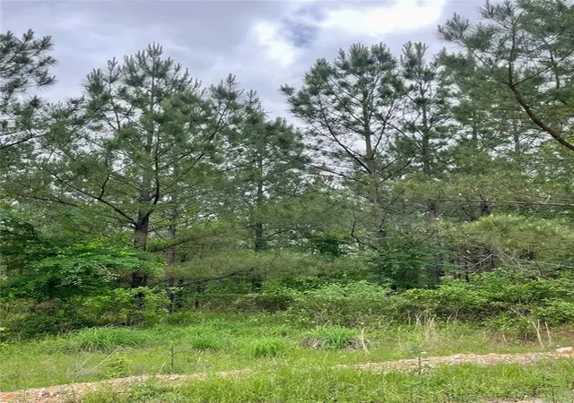 Photo 1 of Land for sale at 679 Timber Creek Trails South Xl, Broken Bow, OK 74728 | MLS# 1096956 | Listing updated on 2026-07-27