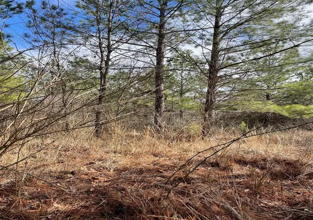 Photo 3 of Land for sale at 680 Timber Creek Trails South Xl, Broken Bow, OK 74728 | MLS# 1096957 | Listing updated on 2026-07-27