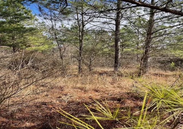 Photo 3 of Land for sale at 680 Timber Creek Trails South Xl, Broken Bow, OK 74728 | MLS# 1096957 | Listing updated on 2026-07-27