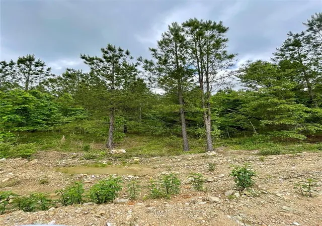 Photo 2 of Land for sale at 681 Timber Creek Trails South Xl, Broken Bow, OK 74728 | MLS# 1096958 | Listing updated on 2026-07-27