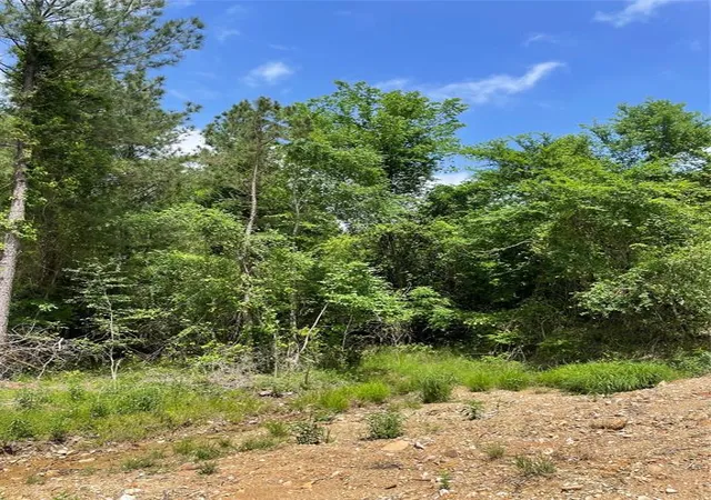 Photo 2 of Land for sale at 683 Timber Creek Trails South Xl, Broken Bow, OK 74728 | MLS# 1096959 | Listing updated on 2026-07-27