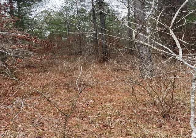Photo 3 of Land for sale at 685 Timber Creek Trails South Xl, Broken Bow, OK 74728 | MLS# 1096962 | Listing updated on 2026-07-27