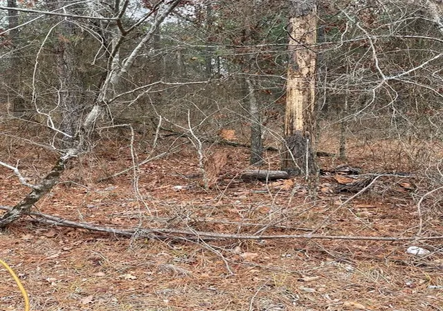 Photo 3 of Land for sale at 685 Timber Creek Trails South Xl, Broken Bow, OK 74728 | MLS# 1096962 | Listing updated on 2026-07-27