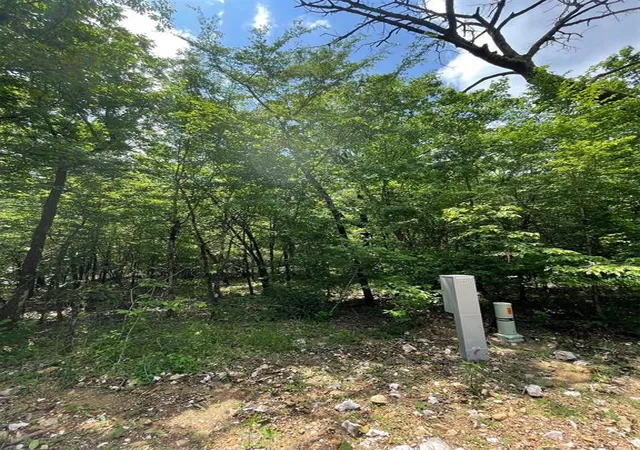 3rd image of 686 Timber Creek Trails South Xl, Broken Bow, OK 74728 | MLS# 1096964
