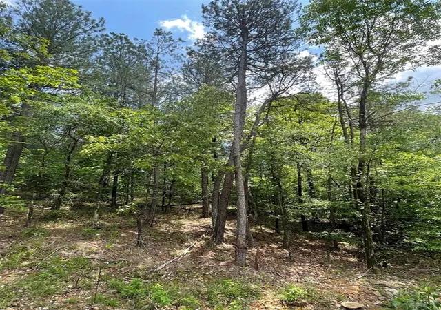 Photo 1 of Land for sale at 687 Timber Creek Trails South Xl, Broken Bow, OK 74728 | MLS# 1096965 | Listing updated on 2026-07-27
