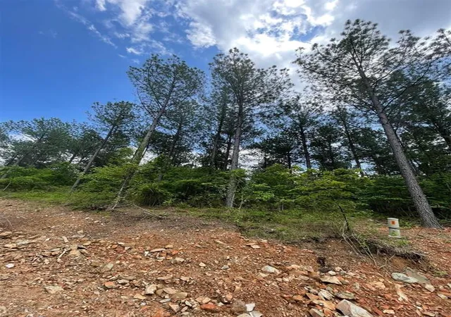 Photo 1 of Land for sale at 688 Timber Creek Trails South Xl, Broken Bow, OK 74728 | MLS# 1096966 | Listing updated on 2026-07-27