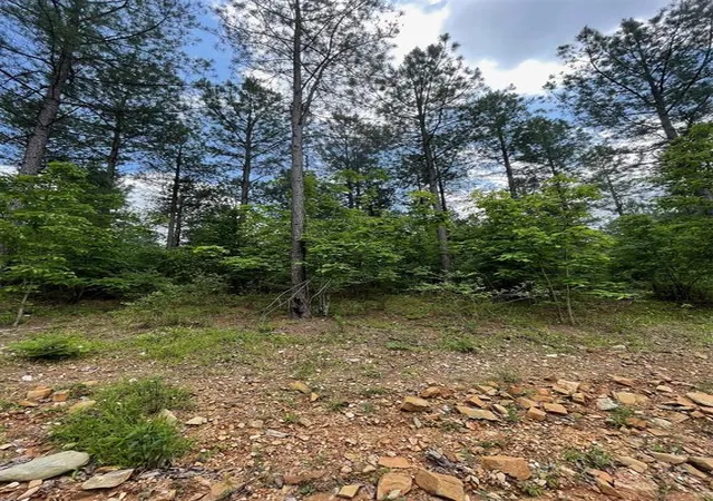 Photo 3 of Land for sale at 688 Timber Creek Trails South Xl, Broken Bow, OK 74728 | MLS# 1096966 | Listing updated on 2026-07-27