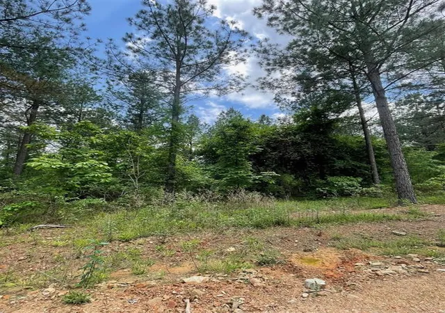 Photo 2 of Land for sale at 689 Timber Creek Trails South Xl, Broken Bow, OK 74728 | MLS# 1096968 | Listing updated on 2026-07-27