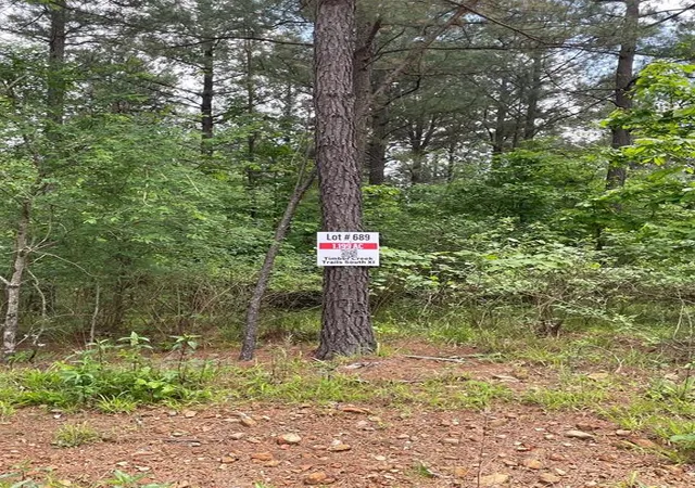 Photo 3 of Land for sale at 689 Timber Creek Trails South Xl, Broken Bow, OK 74728 | MLS# 1096968 | Listing updated on 2026-07-27