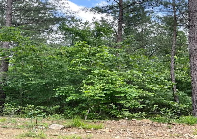 Photo 2 of Land for sale at 690 Timber Creek Trails South Xl, Broken Bow, OK 74728 | MLS# 1096969 | Listing updated on 2026-07-27