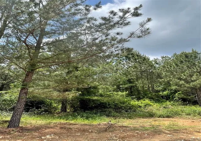 Photo 2 of Land for sale at 691 Timber Creek Trails South Xl, Broken Bow, OK 74728 | MLS# 1096971 | Listing updated on 2026-07-27