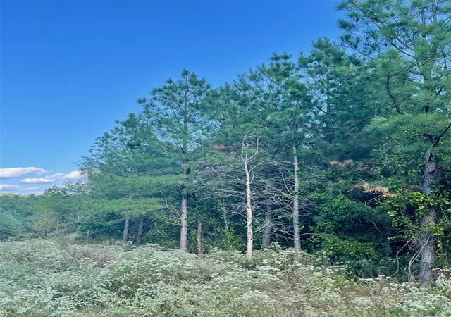 Photo 3 of Land for sale at 693 Timber Creek Trails South Xl, Broken Bow, OK 74728 | MLS# 1096974 | Listing updated on 2026-07-27