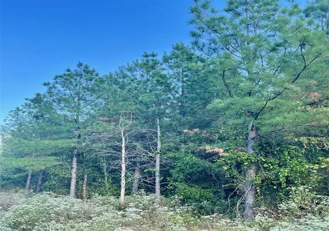 Photo 3 of Land for sale at 693 Timber Creek Trails South Xl, Broken Bow, OK 74728 | MLS# 1096974 | Listing updated on 2026-07-27