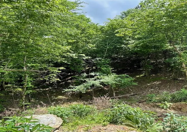 Photo 1 of Land for sale at 694 Timber Creek Trails South Xl, Broken Bow, OK 74728 | MLS# 1096975 | Listing updated on 2026-07-27