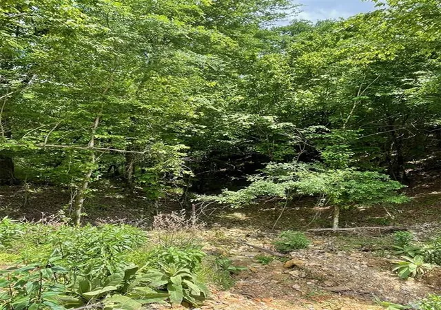 Photo 3 of Land for sale at 694 Timber Creek Trails South Xl, Broken Bow, OK 74728 | MLS# 1096975 | Listing updated on 2026-07-27